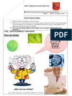 Guía 6 Ciencias Consuelo