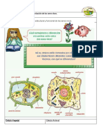 Ciencias 5 Consuelo