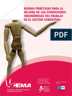 documents.mx_riesgos-ergonomicos-sector-cementero (1).pdf