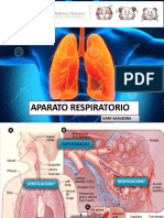 Anatomia - Anatomía Aparato Respiratorio