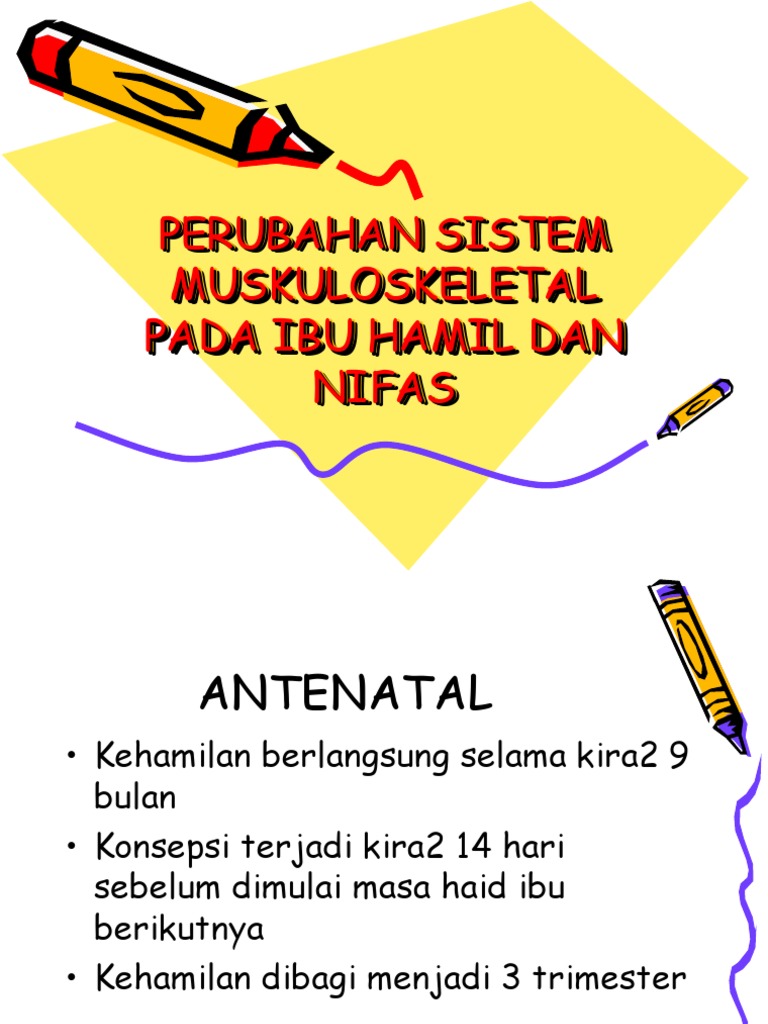 PERUBAHAN  SISTEM MUSKULOSKELETAL PADA  IBU  HAMIL  DAN NIFAS  PERUBAHAN  SISTEM MUSKULOSKELETAL PADA  IBU  HAMIL  DAN NIFAS