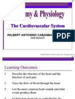 The Circulatory System