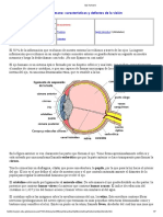 6-El Ojo Humano