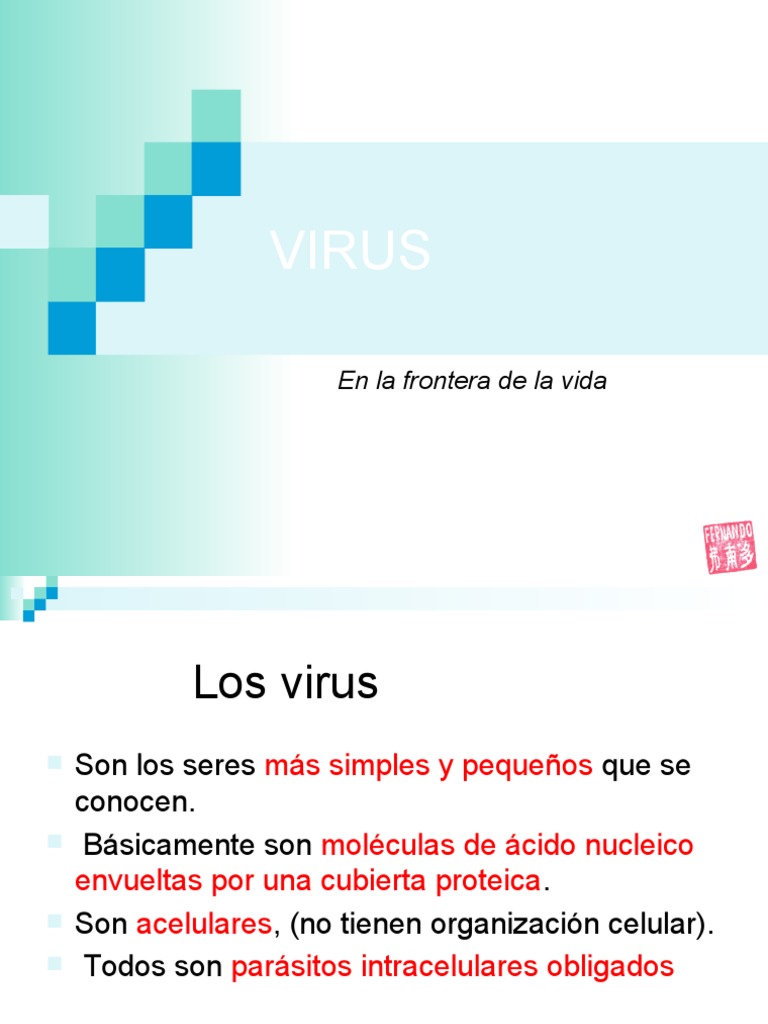 Clase VIRUS | PDF | La transcriptasa inversa | Virus