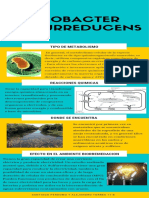 Geobacter Sulfurreducens