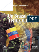 un_brazalete_tricolor.pdf