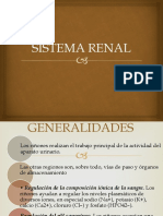 Sistema Renal