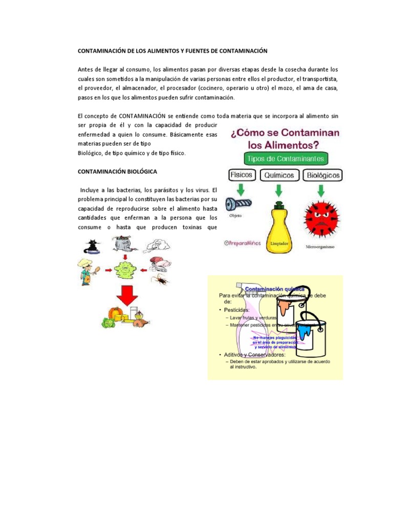 Tipos y Fuentes de Contaminación Alimentaria | PDF | Alimentos ...