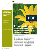Boton_de_Oro_y_Ganaderia.pdf