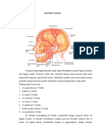 Konsep Dasar I. Anatomi Fisiologi