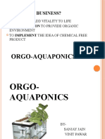 Idea About Business?: Orgo-Aquaponics