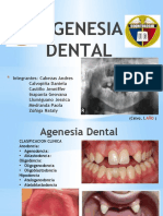 Agenesia Dental (Introduccion y Conclusiones)