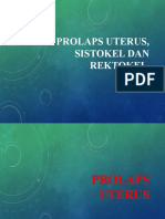 31 Prolaps Uterus Sistokel Dan Rektokel