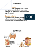Glandele cu secretie interna.pdf