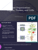Plant Organization: Organs, Tissues, and Cells: Jeanette Mara P. Tan, MSC