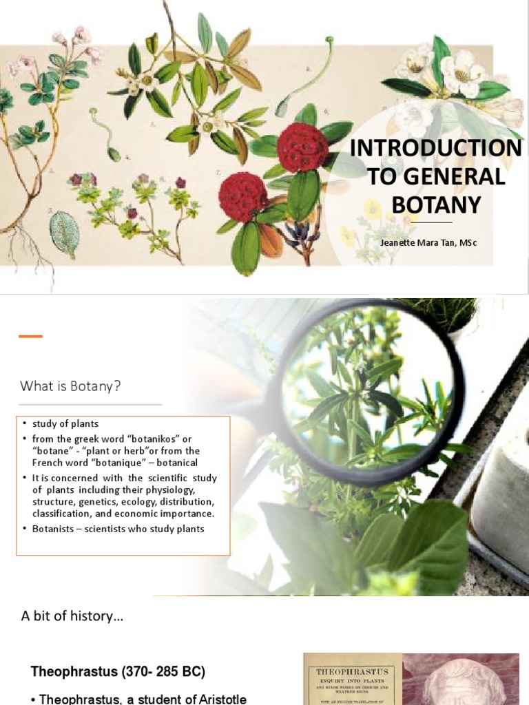 Introduction To General Botany PDF | Download Free PDF | Botany | Plants