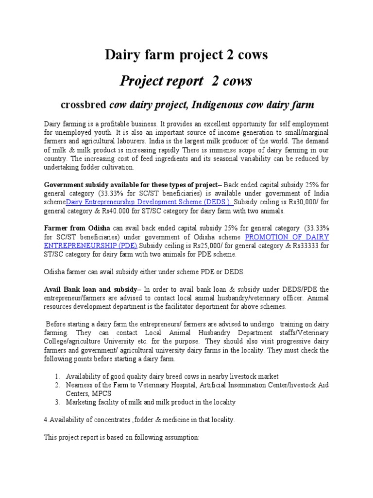 2 Cow Dairy Farm Project Report | PDF | Dairy Cattle | Calf