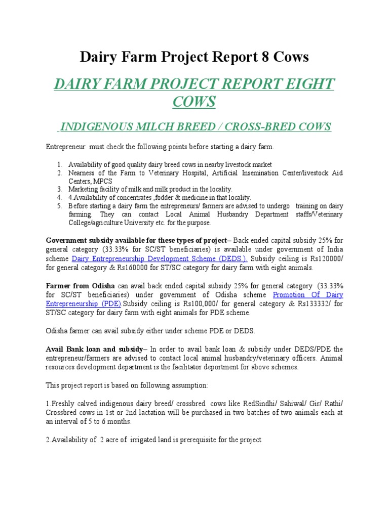 8 Cow Dairy Farm Project Report | PDF | Dairy Cattle | Dairy Farming
