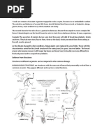 EVIDENCES OF EVOLUTION Activity To Be Printed