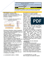 CIENCIAS NATURALES, Biología, GUIA 8 7-01 COPIAS 40