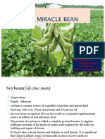 Soybean The Miracle Bean: Presented by Ashwini Patil MA1TAI0330 Dept of Agronomy
