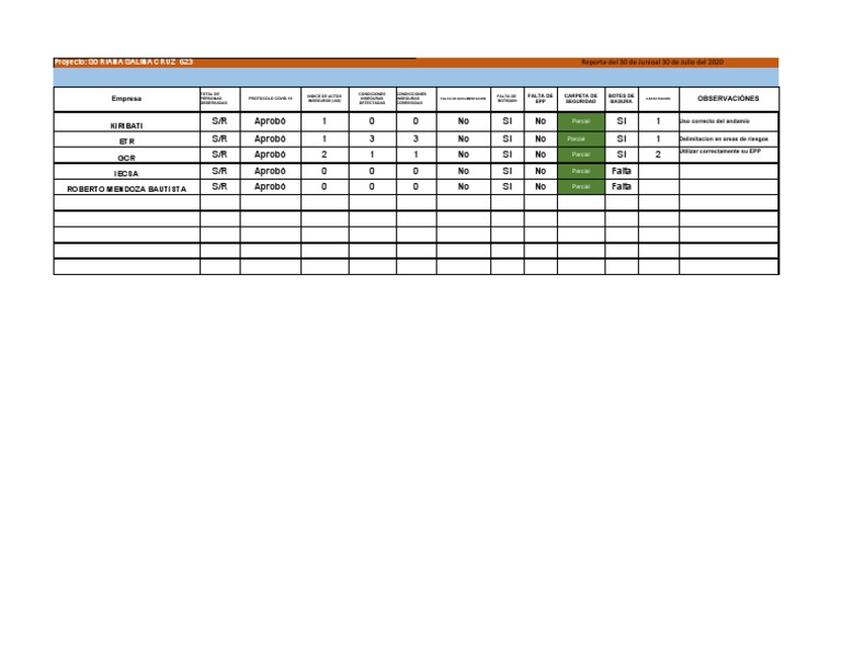 Informe de Seguridad e Higiene Excel | PDF | Business | Bienestar