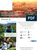 China Oportunidades de Exportacioìn CIIE 2020 PDF