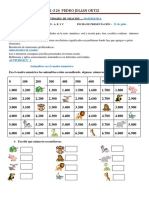 Actividades de Fijación