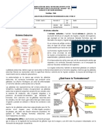 Biología-6-S. Endocrino.