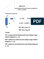 Fundamento Conceptual y Calculos A Realizar PDF