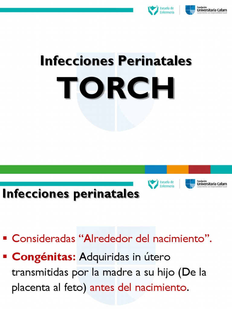 Infecciones Perinatales: TORCH y Diagnóstico | PDF | VIH | Elisa