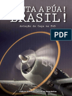 Aviação de Caça da FAB: 75 anos de história e tradição