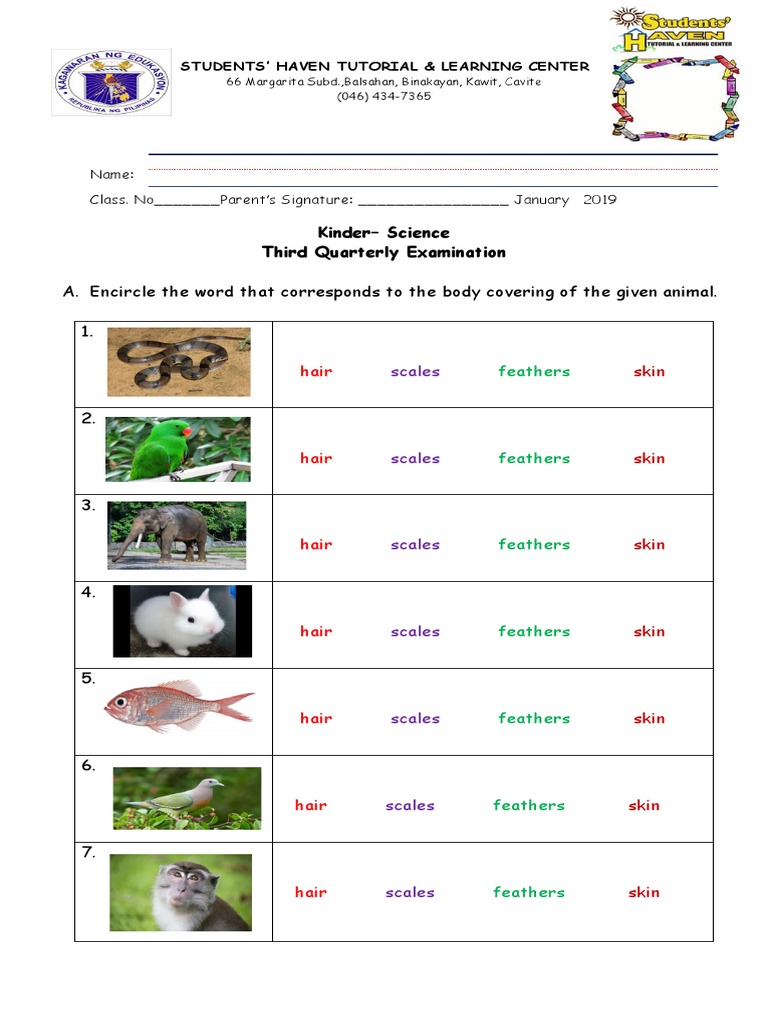 Kindergarten Science Exam: Animals & Habitats | PDF | Organisms | Nature
