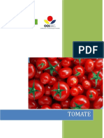 Análisis del mercado del tomate en Colombia