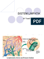 Sistem Limfatik