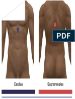 cardias suprarrenales.pdf