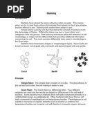Download Staining by yuppie_raj2175 SN47349564 doc pdf