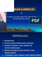 Reproduksi dan Andrologi