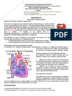 Guia Ed. Fisica 6° Segunda Entrega