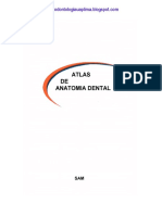 Atlas_de_Anatomia_Dental_-_SAM.pdf
