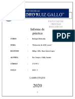 INFORME III - Extracción de ADN Casero