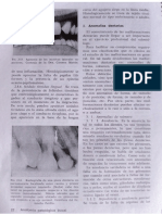 Anomalías dentarias.pdf