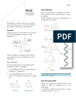 03 BIOQUIMICA Ácidos Nucléicos PDF