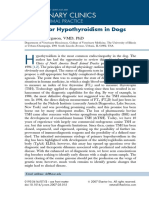 Testing for Hypothyroidism in Dogs: A Review of Diagnostic Tests