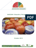 Informe Manzana-Octubre 2013