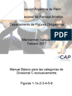Manual Básico Argentino de Categoría C (Versión 2) PDF