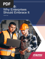 Why Enterprises Should Embrace It: Daniel Lago