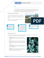 Biorremediación PDF