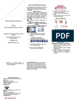 Plegable Toxicología