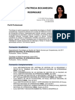 Curriculum - Vitae Angela Patricia Bocanegra Rodriguez PDF